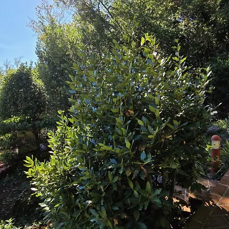 Palazzo Del Mar Opatija By Guide